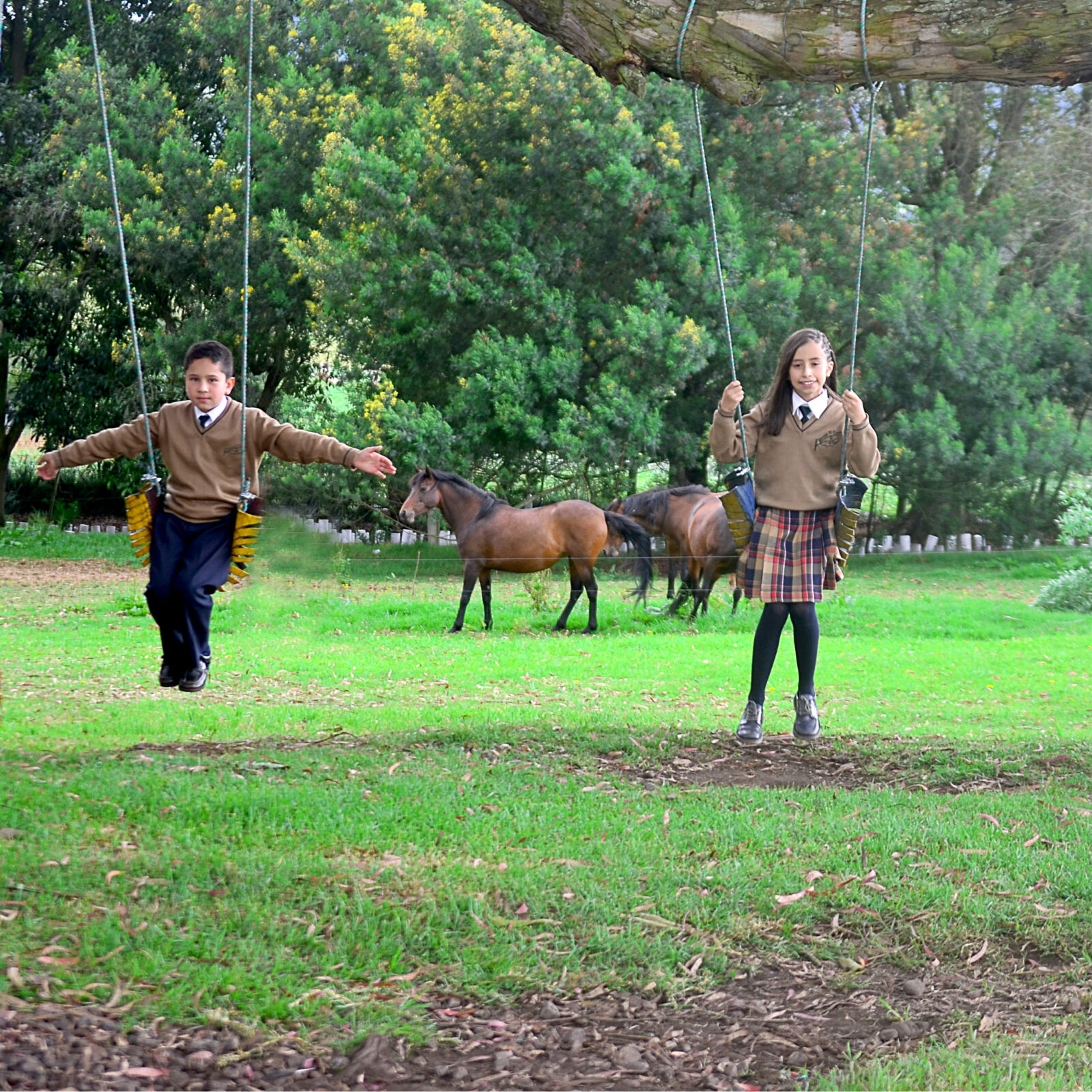 Estudiantes con caballos en el campo